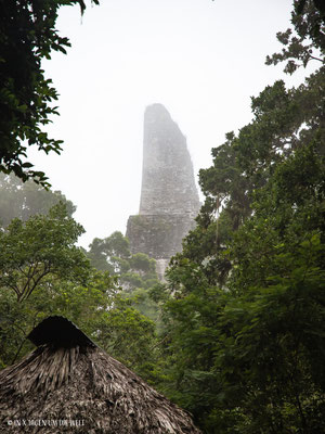 Die Ruinen von Tikal Guatemala