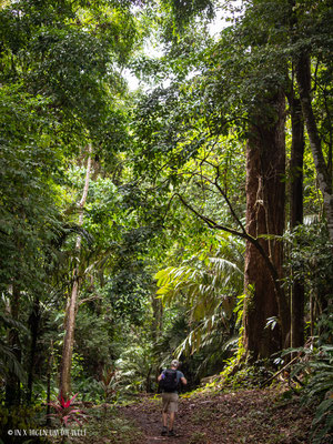 Puerto Viejo en Costa Rica