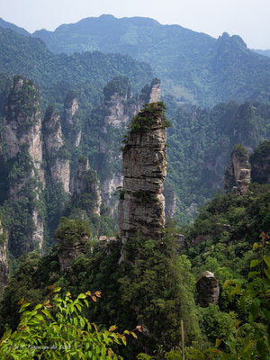 Zhangjiajie National Forest Park Avatar Berge in China