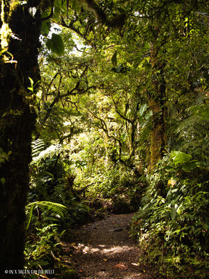 Monteverde Costa Rica