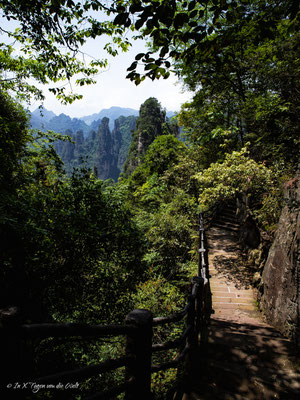 Zhangjiajie National Forest Park Avatar Berge in China