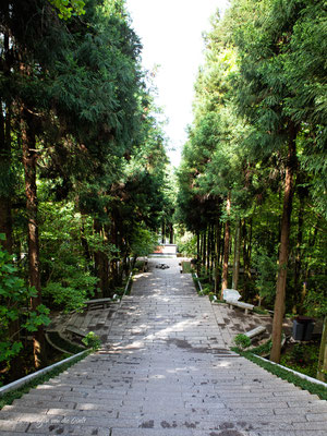 Zhangjiajie National Forest Park Avatar Berge in China