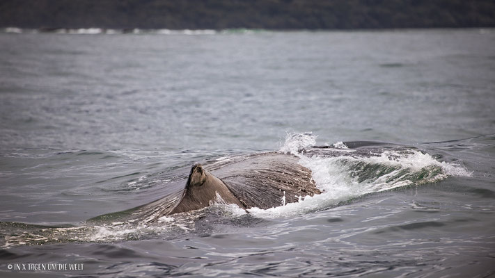 Costa Rica Pazifikküste Uvita