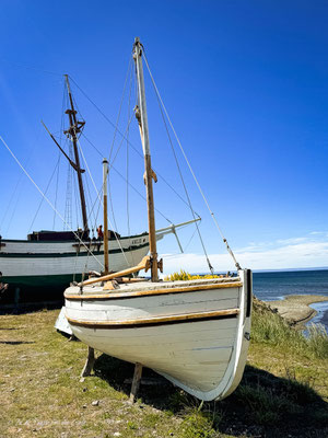 Punta Arenas in Chile – Sehenswürdigkeiten und Ausflüge