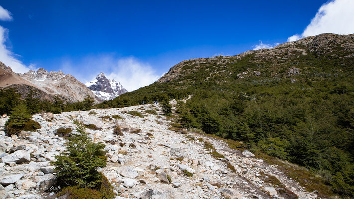 Wanderung Fitz Roy Laguna de los Tres ab Rio Electrico