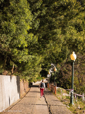 Wanderungen auf Madeira wandern