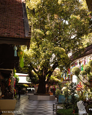 Doi Suthep Temple Thailand 