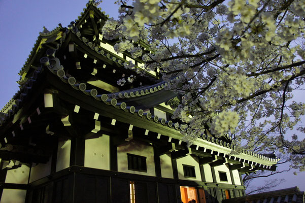 やっぱり、桜がよく似合う