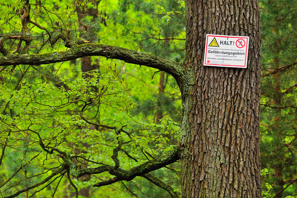 Im Sperrgebiet | Brandenburg (D)