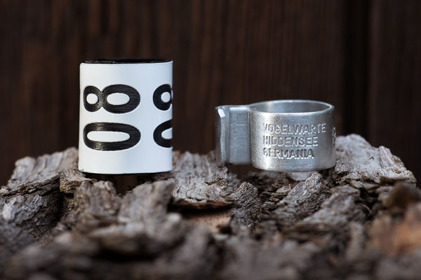 Ringe der Vogelwarte Hiddensee