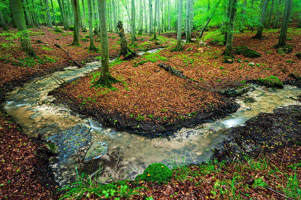 Nationalpark Jasmund