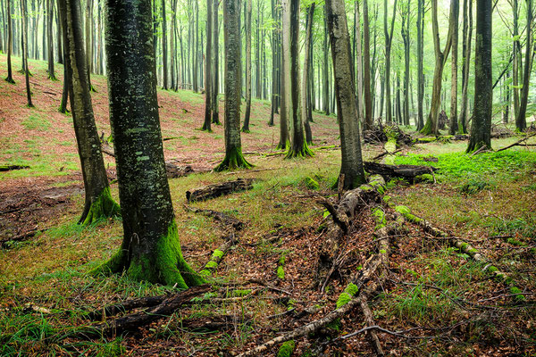 Nationalpark Jasmund