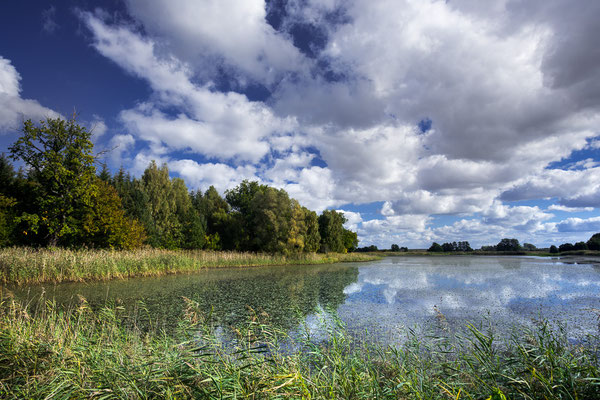 Blumberger Teiche in Brandenburg