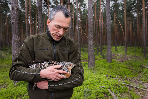 Naturparkleiter Lars Thielemann bei der Auswilderung einer Henne