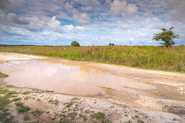 Lebensraum von Triops cancriformis und Branchipus schaefferi in Brandenburg (D)