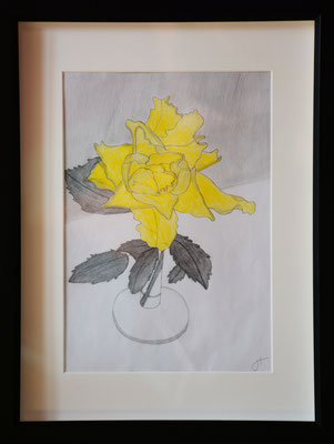 "The rose", Blei- und Farbstiftzeichnung auf Papier (DIN A 4), wahlweise mit weißem/schwarzem Bilderrahmen inkl. Passepartout (ca. DIN A 3), 65 € zzgl. Versandkosten
