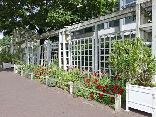 Park am Ziegelhof