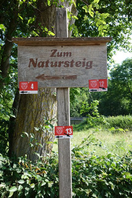 Nach der Brücke beginnt rechts der Natursteig. Ein gemütlicher Wanderweg entlang der Hangkante, durch schattigen Mischwald bis hinunter zur Hammerschmiede.