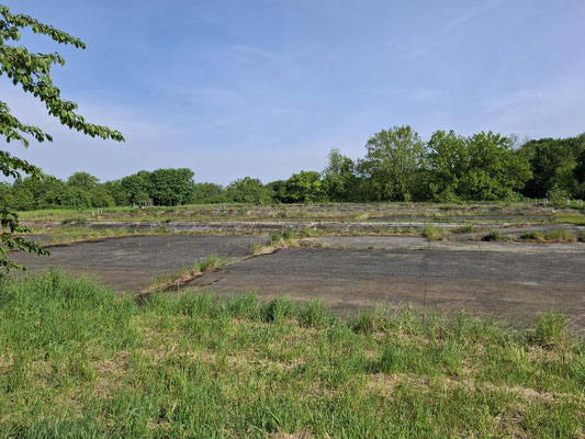 Überreste Absatzbecken Rieselfelder 