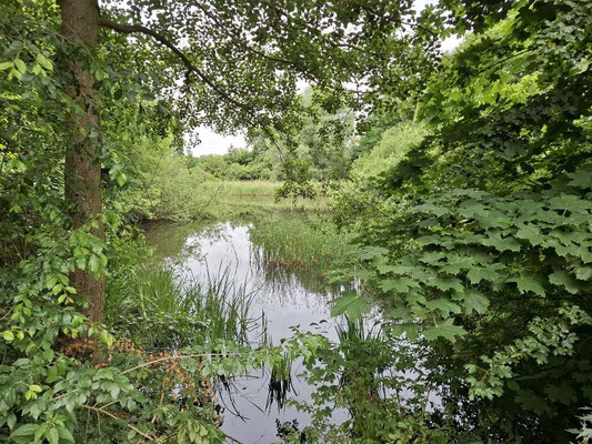 Stieglakebecken