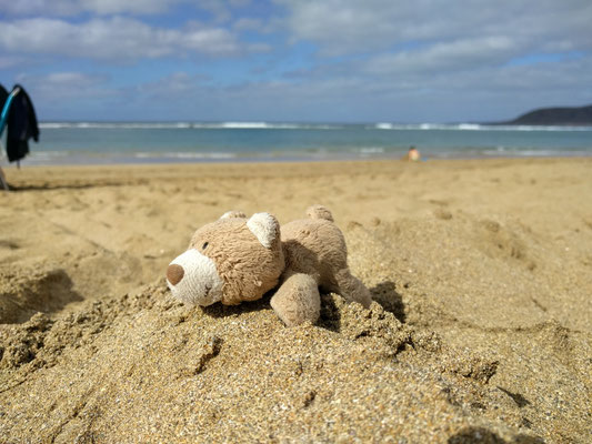 Stups war natürlich auch mit dabei! Hier beim sonnen am Strand :-)