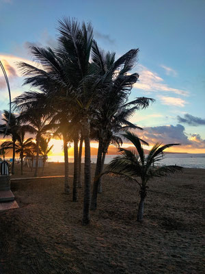 Las Canteras (Strand von Las Palmas)