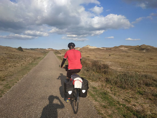 Sanddühnen an der Nordsee