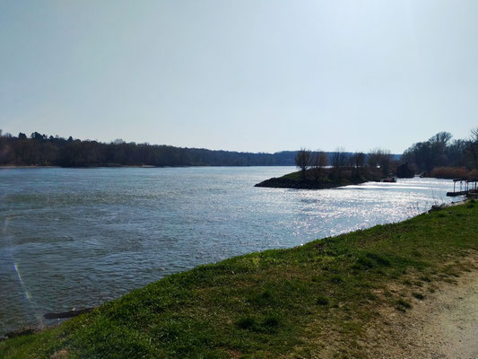 Ausblick auf die Donau