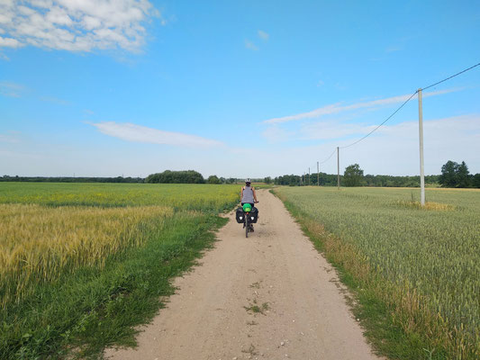 Auf dem Feldweg entlang