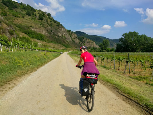 Durch die Wachau radeln...