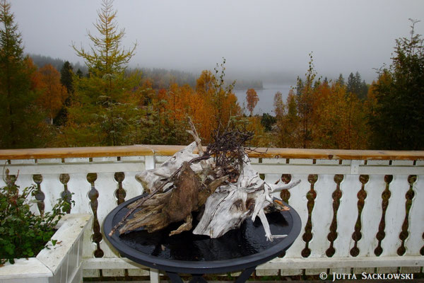 Herbst auf der Terrasse