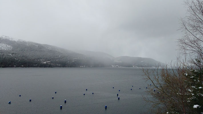 Der nächste Schneeschauer ist unterwegs.