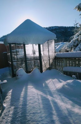 Wintergarten im Winter