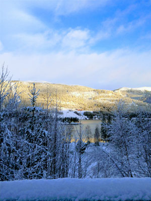 Blick von der Terrasse