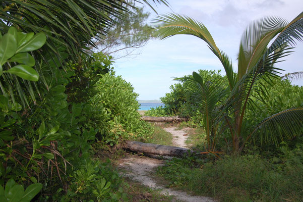 Weg zum Seychellen-Strand