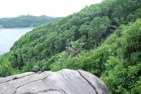 Moyenne, Seychellen - eine grüne von Schildkröten bewohnte Insel