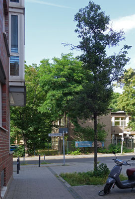 Kulturbirne, Nr. 12, Brauereihof