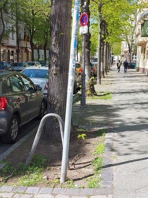Bodenverhältnisse ab Nr. 69. Zwischen Asphalt und Gehwegplatten eingezwängt.