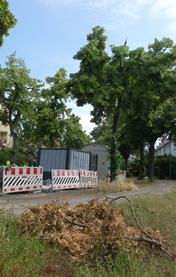Nr.4 Tharsanderweg 22.06.26