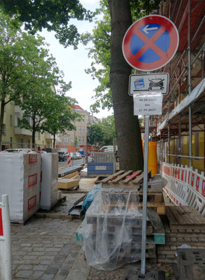 Baum 34 Wörther Str. 20-06-26