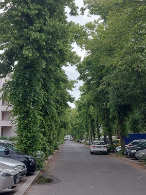 1. Juni 2026: Weverstr. nach Osten