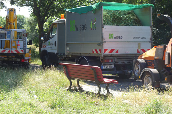 Ein ganzer Lastwagen voller Grün wird abtrabsportiert.