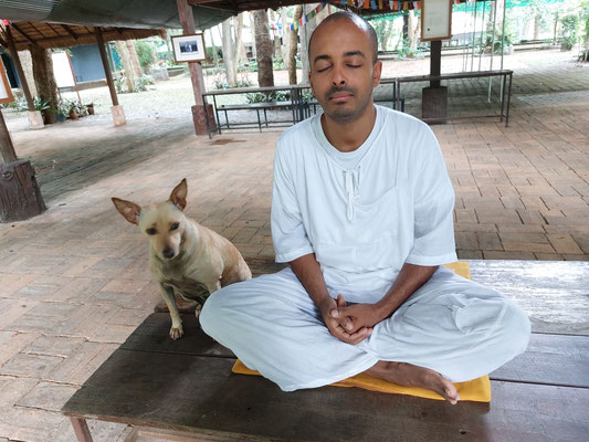Wat Umong Chiang Mai with the monk Tawachai