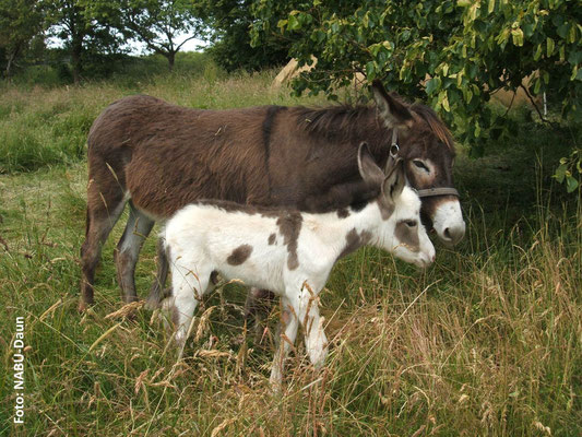 Mutter und Sohn einträchtig miteinander.