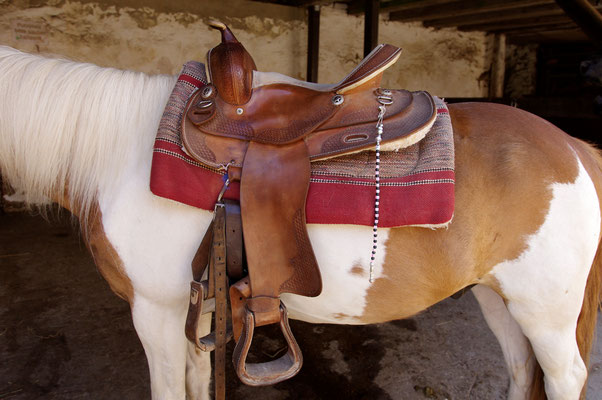 Ponyhof Schanze Schlangenbad