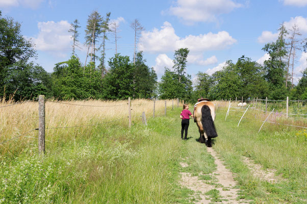 Ponyhof Schanze Schlangenbad