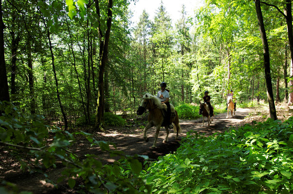 Ponyhof Schanze Schlangenbad