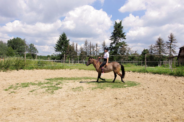 Ponyhof Schanze Schlangenbad