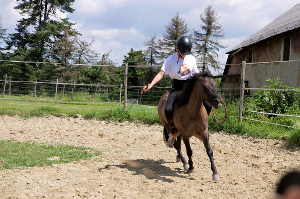 Ponyhof Schanze Schlangenbad