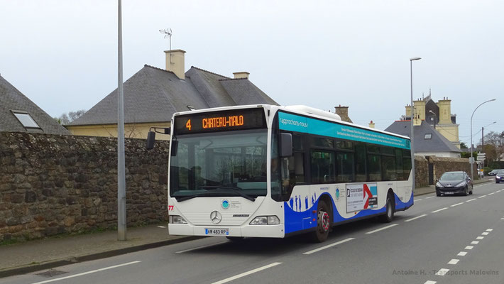 Mercedes Citaro 1 N n°77, Panier Fleuri.